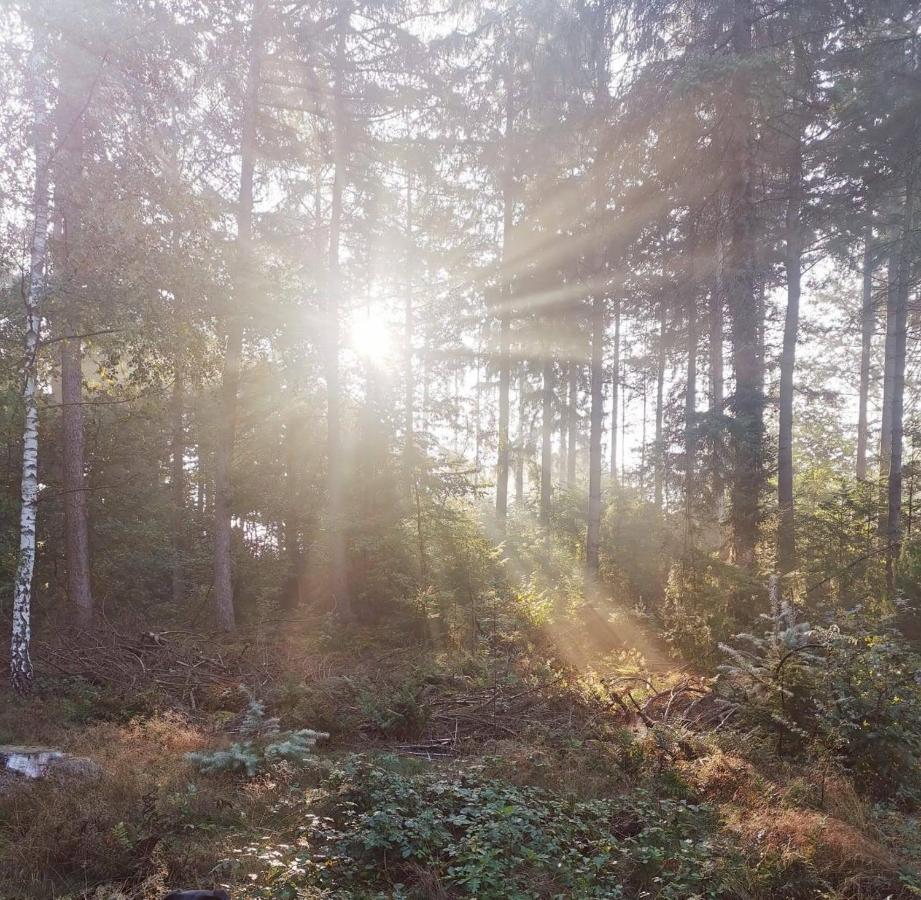 Boslodge 84 Vorden Dış mekan fotoğraf
