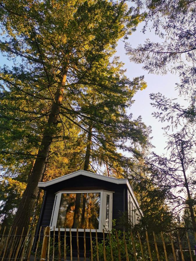 Boslodge 84 Vorden Dış mekan fotoğraf
