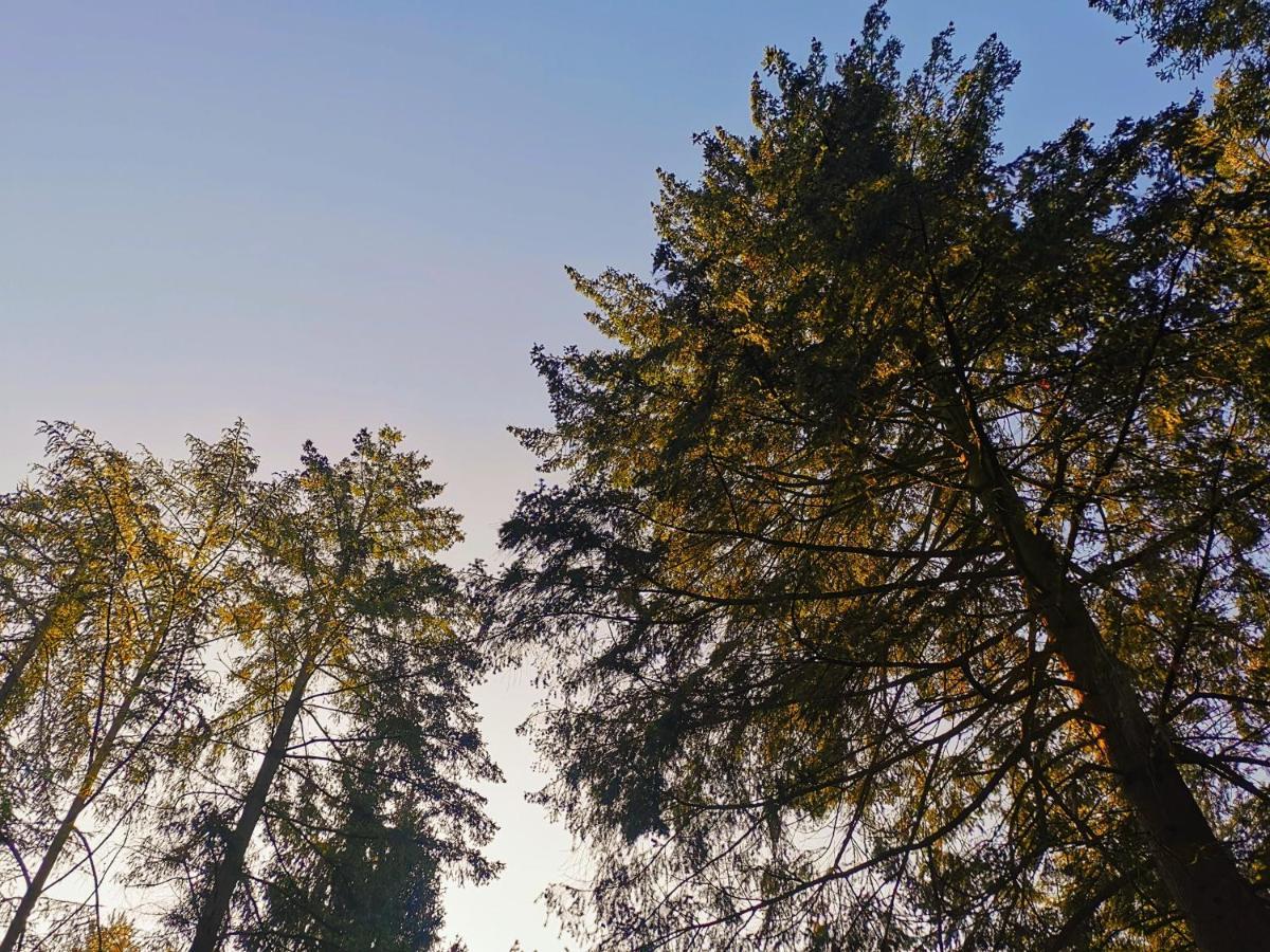 Boslodge 84 Vorden Dış mekan fotoğraf